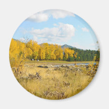 Pretty Autumn Landscape Refrigerator Magnets