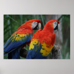 Pretty Bird Print