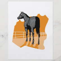 pretty black horse flyers