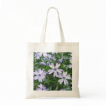 Pretty Blue Creeping Phlox Bags