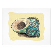 Pretty Blue Shell Personalised Announcement