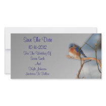 Pretty Bluebird Wedding Save The Date