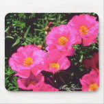 Pretty Bright Pink Annuals mousepads