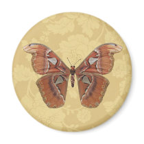 Pretty Brown Butterfly on Vintage Beige Floral Refrigerator Magnets