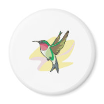 pretty colibri bird refrigerator magnets