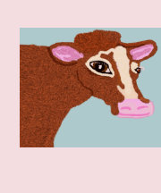 Pretty Cow Shirts