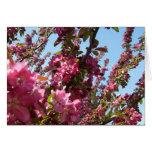 Pretty Crab Apple Tree cards