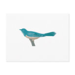 pretty cuckoo bird post card