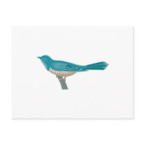 pretty cuckoo bird post card
