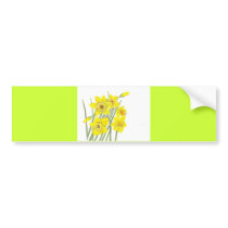 Pretty Daffodils Bumper Sticker