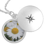 Pretty Daisies Pendant