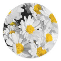 Pretty Daisies Sticker
