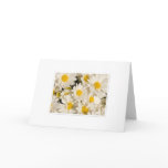 Pretty Daisy Greetings cards