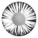 Pretty Daisy stickers