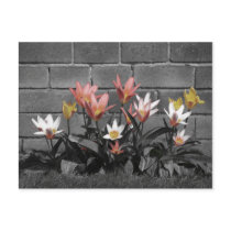 Pretty floral post card