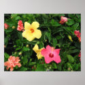 Pretty Flowers posters