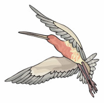 pretty flying hummingbird photo cutouts