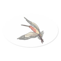 pretty flying hummingbird oval sticker