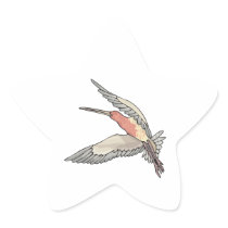 pretty flying hummingbird star sticker