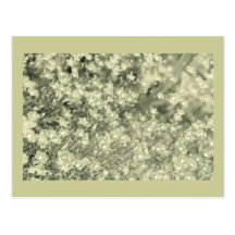 Pretty Green sparkle Fairy Flowers, template Post Cards