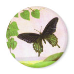 Pretty Green Vintage Butterfly magnets