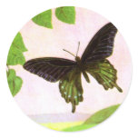 Pretty Green Vintage Butterfly stickers