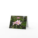 Pretty in Pink cards