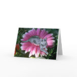 Pretty In Pink Cards