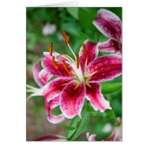 Pretty in Pink Card