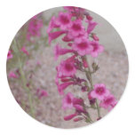 pretty in pink  floral sticker