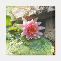 Pretty in Pink Fridge Magnets
