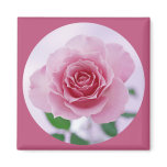 Pretty in pink magnets