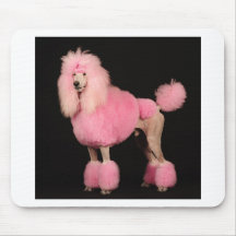 Pretty in Pink Mousepad