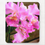 Pretty in Pink Orchids mousepads