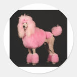 Pretty in Pink Stickers