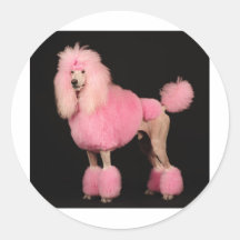 Pretty in Pink Stickers