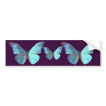 Pretty Iridescent Blue Butterfly