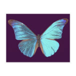 Pretty Iridescent Blue Butterfly