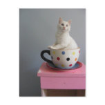 pretty kitten in plant pot postcard