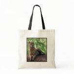 pretty kitty bag