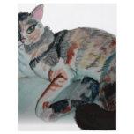 pretty kitty flyers