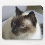 Pretty Kitty Mousepad