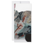 pretty kitty rack cards