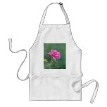Pretty Lady 093 Aprons
