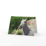 Pretty Little Gray Grey Pony with Big Eyes - Blank Card