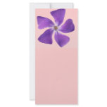 Pretty 'Little Purple Flowers' Floral Design rack cards