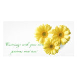 Pretty 'Little Yellow Flowers' Floral Design photo cards