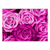 Pretty Magenta Pink Roses Flower Bouquet Greeting Cards