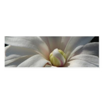 Pretty Magnolia Centennial Bookmark