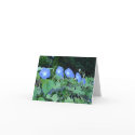Pretty Maids in a Row - notecard